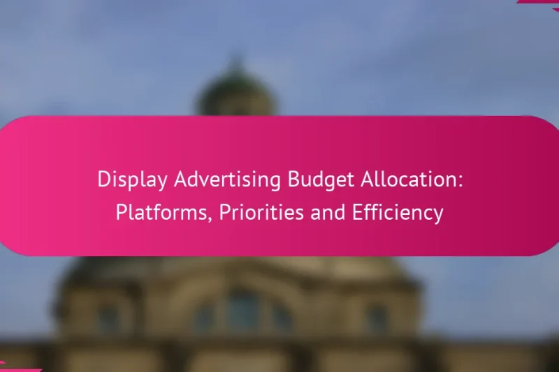Display Advertising Budget Allocation: Platforms, Priorities and Efficiency