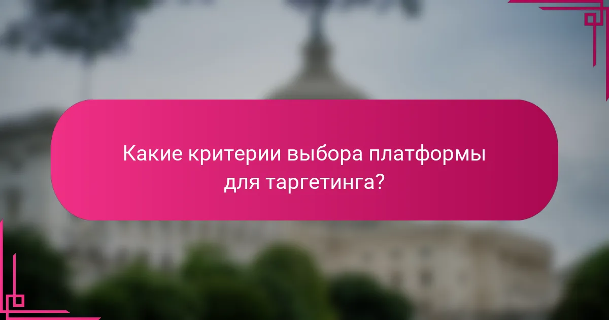Какие критерии выбора платформы для таргетинга?
